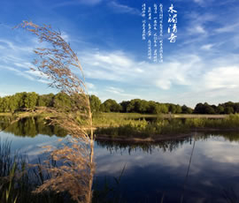 新義水鄉(xiāng)中醫(yī)藥浴康養(yǎng)、黃龍溪古鎮(zhèn)二日游