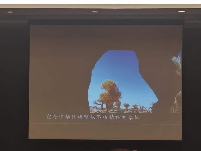 綿陽中旅行假日旅行社舉行胡楊林、南疆專列推薦會