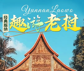【趣游老撾 · 經(jīng)典版納】—昆明、普洱、西雙版納、磨丁、瑯勃拉邦四動8日游